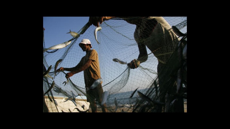 Ue propone divieto di reti da posta: verso stop a pesca-killer