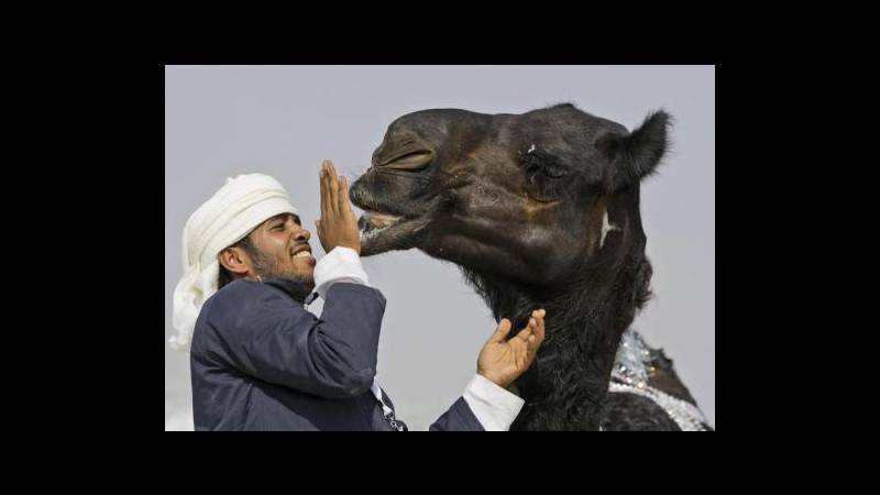 Nuova Sars, Arabia Saudita: Attenzione a contatti con cammelli
