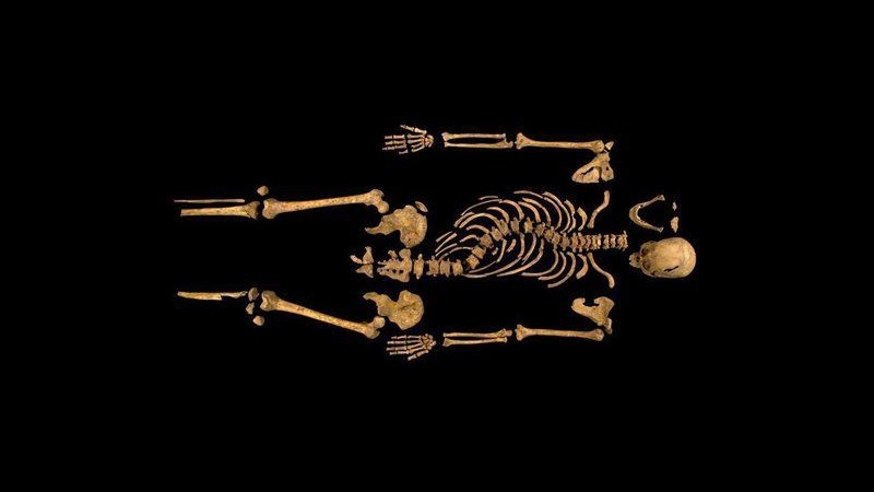 Regno Unito, i resti di Riccardo III saranno sepolti a Leicester