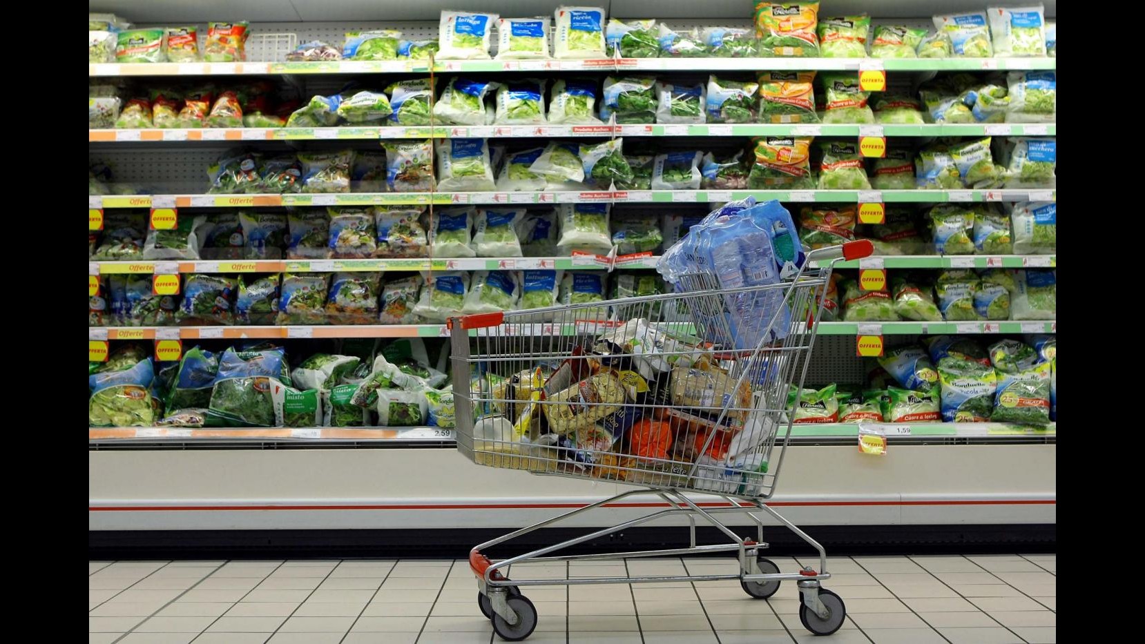 Commercio, Istat: Vendite dettaglio -0,2% a febbraio, -4,8% su anno