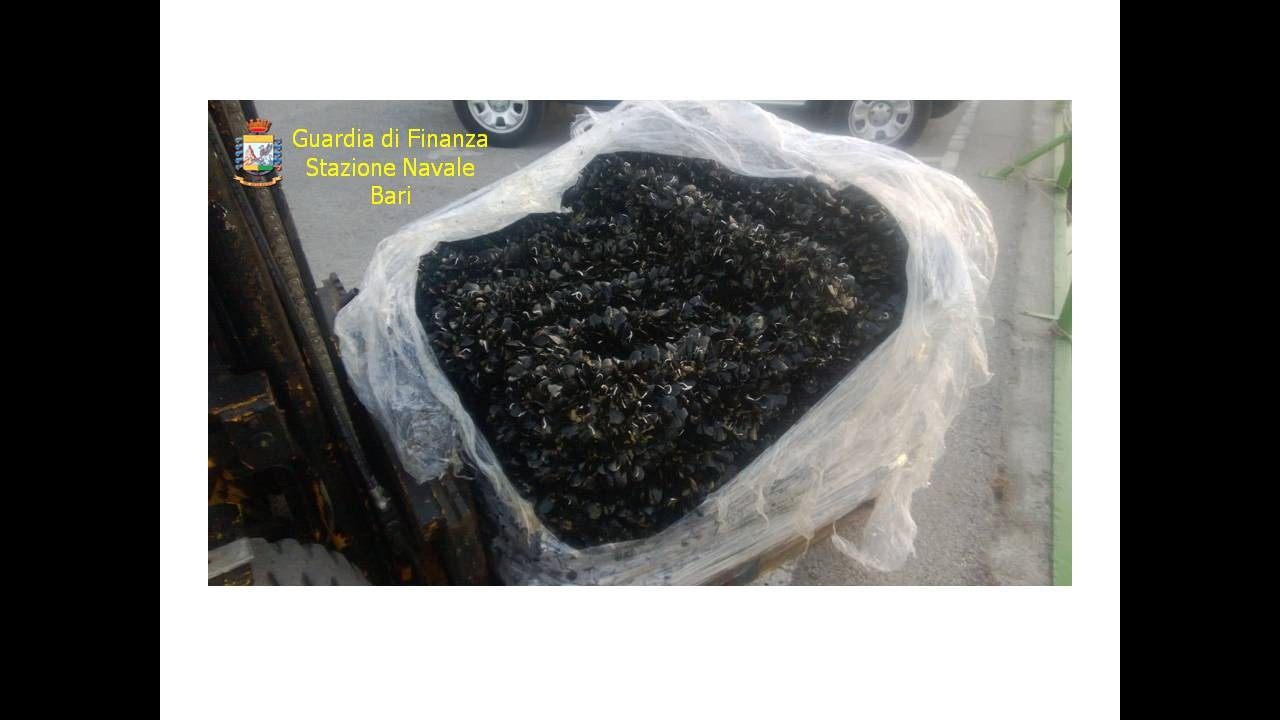 Bari, sequestrati 700 chili di cozze per mancanza tracciabilità
