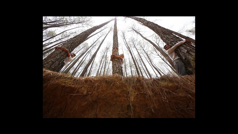 Nepal, oltre 2mila persone abbracciano alberi: verso record mondiale