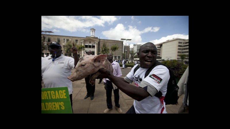 Kenya, maialini liberati davanti Parlamento in protesta contro deputati