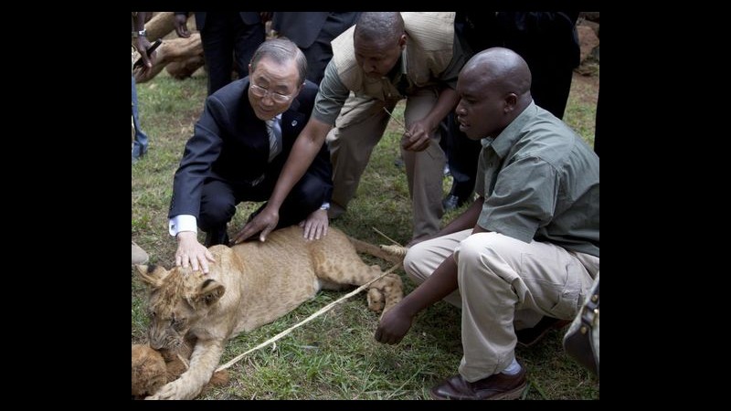 Ban Ki-moon in Kenya adotta leoncino: lo ‘battezza’ Speranza