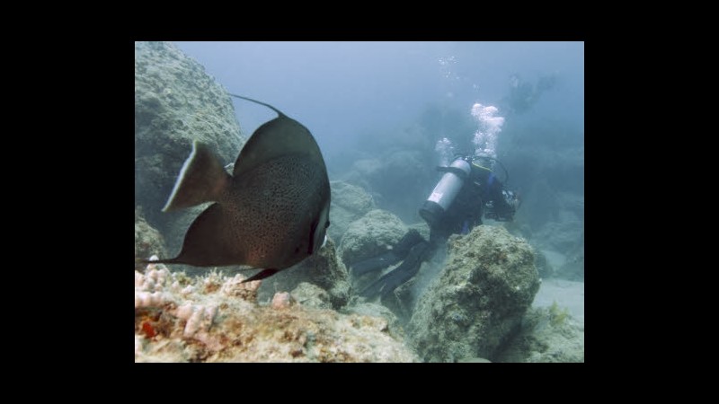 Usa, jet da guerra come reef artificiali al largo della Florida