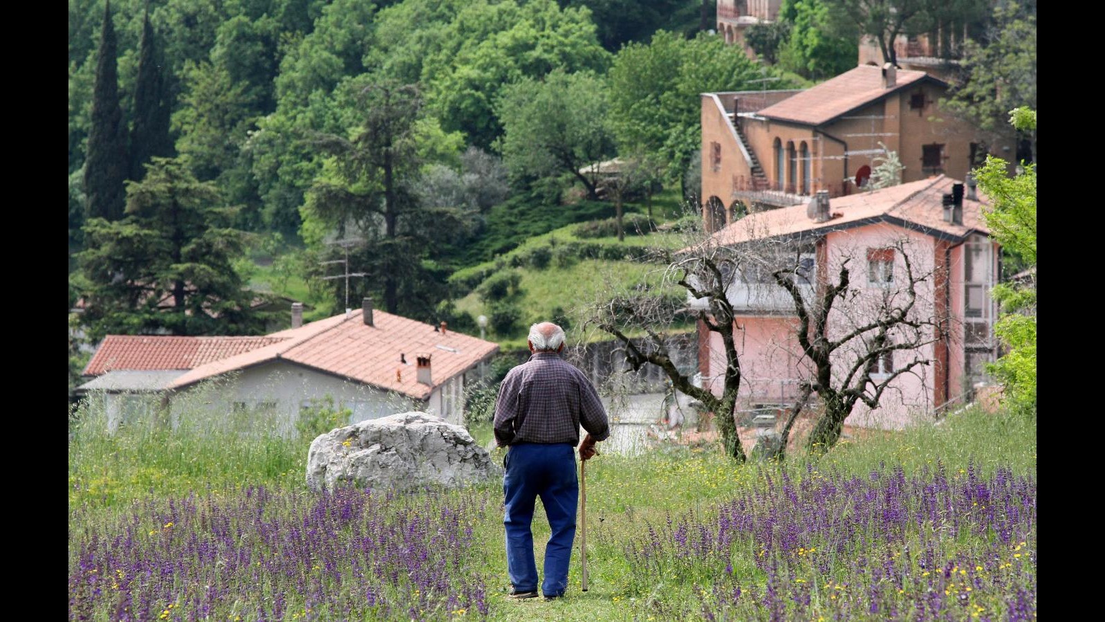 Pensioni, Coldiretti: 800mila coltivatori a 480 euro al mese