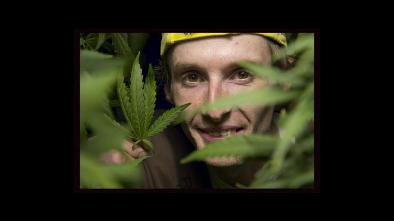 Usa, a Seattle aprono oggi i primi negozi di marijuana