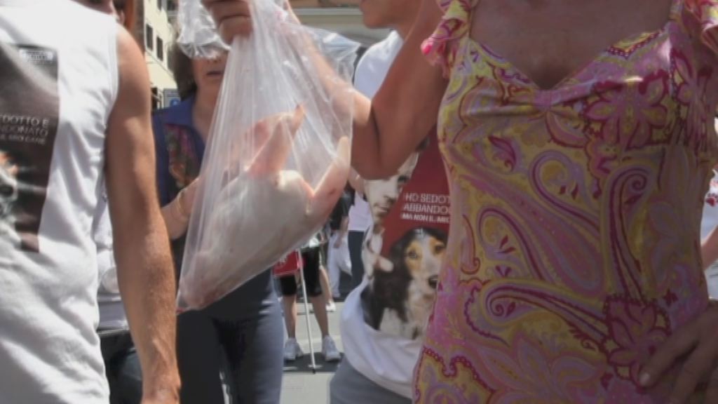 Roma, testa di maiale gettata addosso a un corteo animalisti