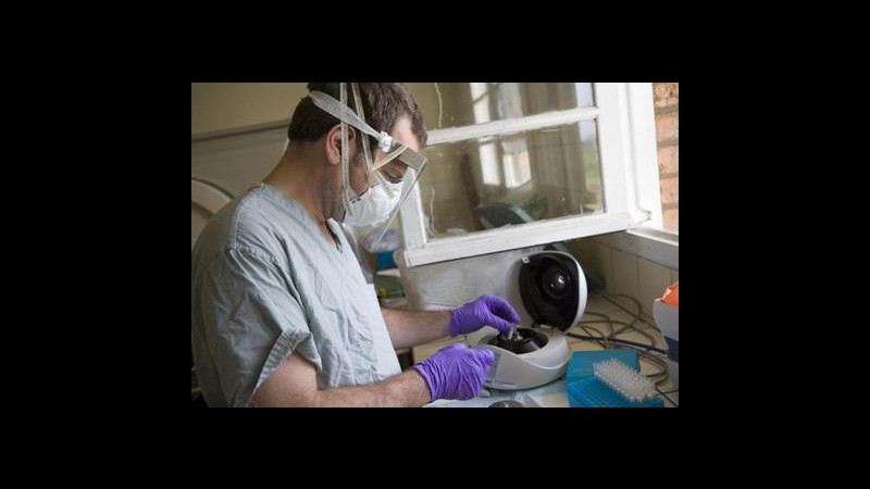 Ebola, secondo americano contagiato in ospedale in Liberia