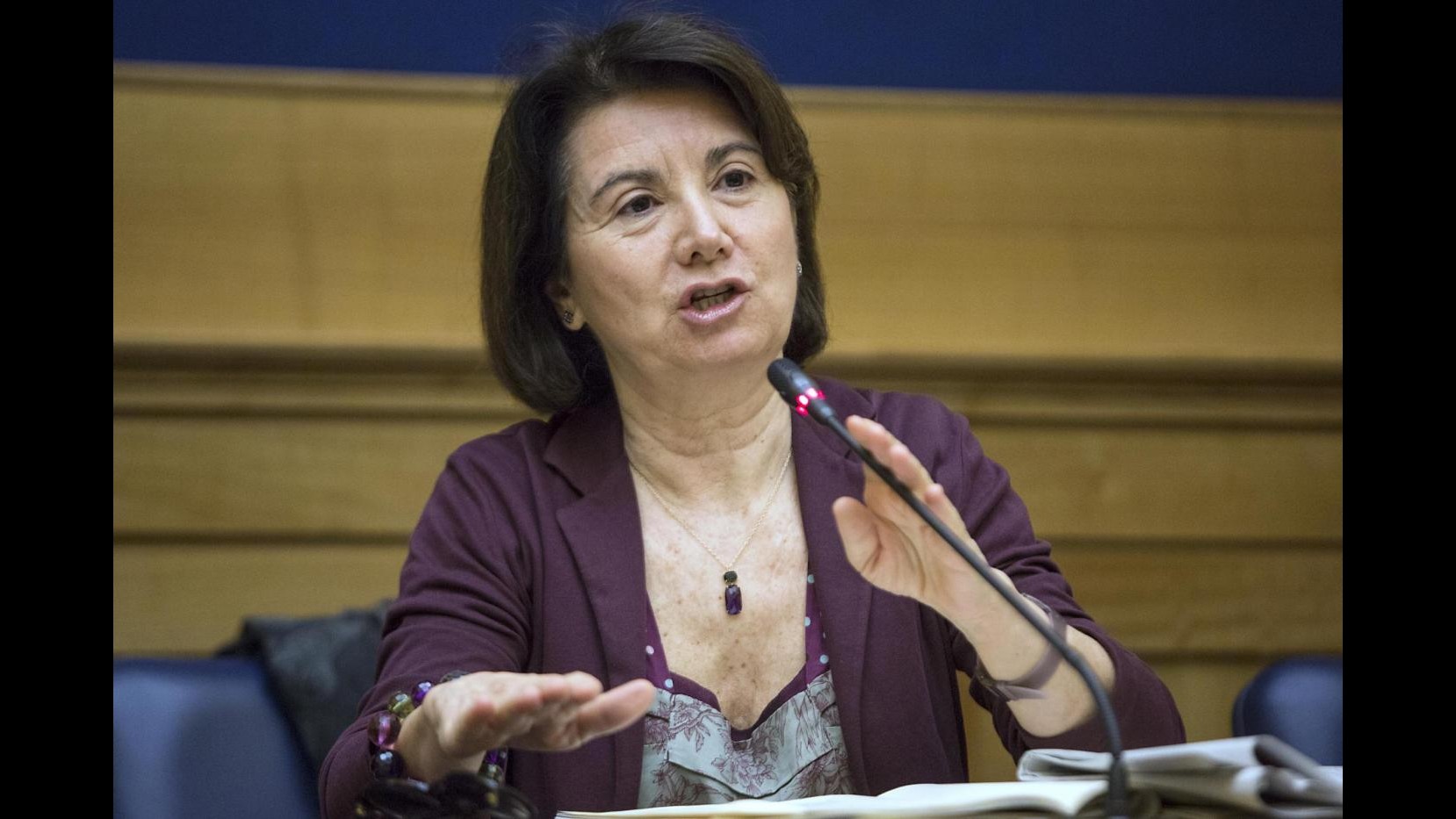 Eterologa, Roccella (Ncd): Costituzionalisti ignorano rischi sanitari