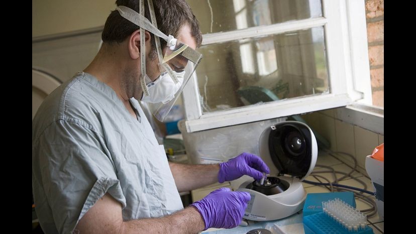 Ebola, Oms: Vaccino potrebbe essere pronto nel 2015