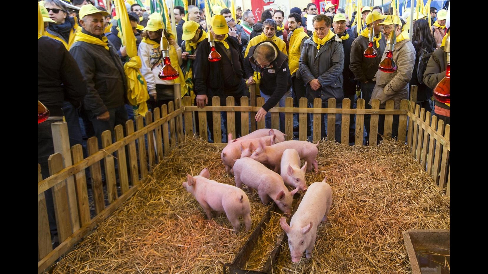 Coldiretti: ok a competitività per rilancio imprese agricole
