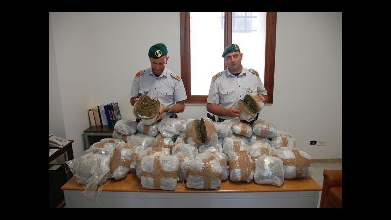 Sequestrati 53 kg di marijuana a Bridisi: 2 arresti