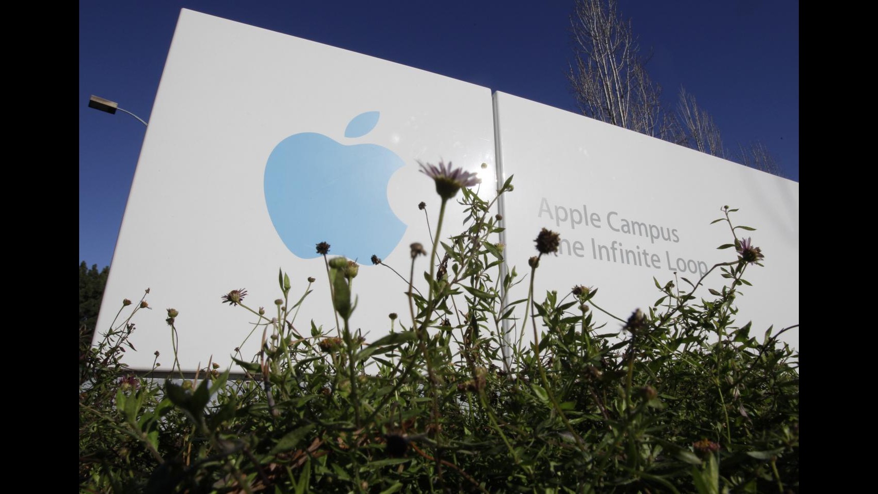 Apple, hacker attaccano sito sviluppatori: violati nomi e indirizzi