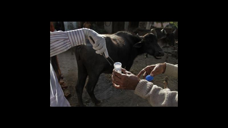 Ebola, Unione africana: Stop invio truppe in Somalia da Sierra Leone