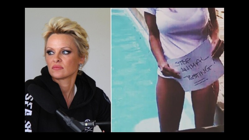 Pamela Anderson: Niente Ice Bucket Challenge per la Sla, testano su animali