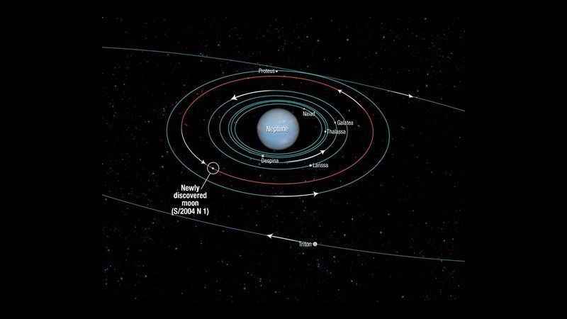 Spazio, Nasa: Scoperta 14esima luna di Nettuno, è la più piccola