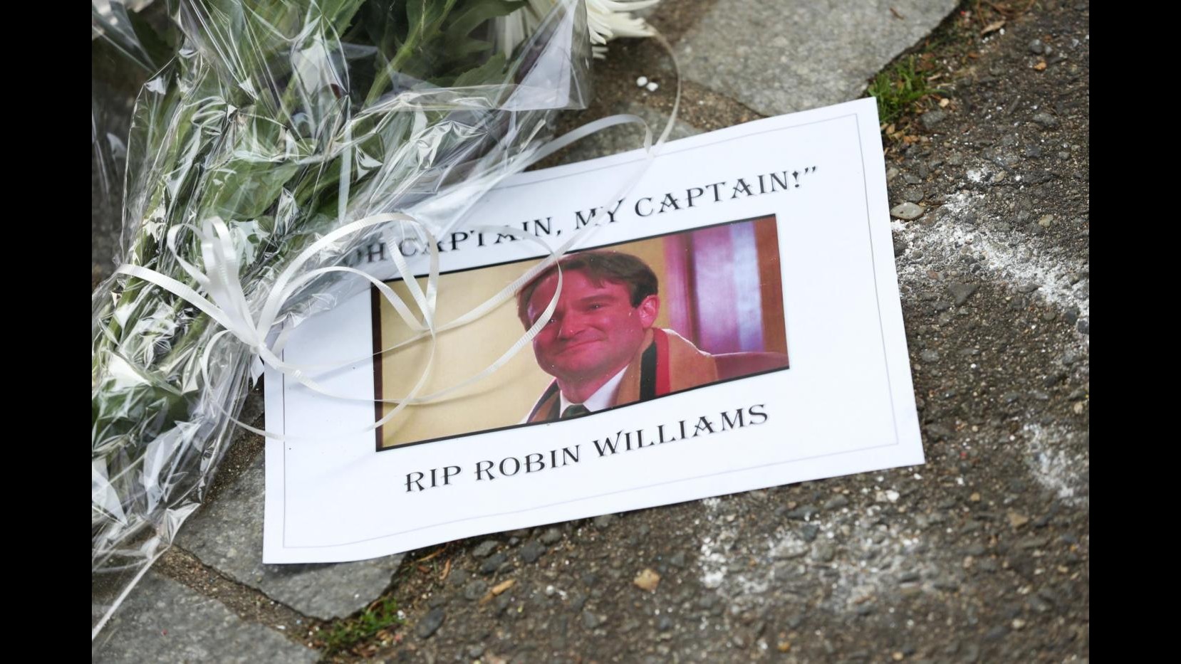 Robin Williams, ceneri disperse nella baia di San Francisco: ricordato a Emmy