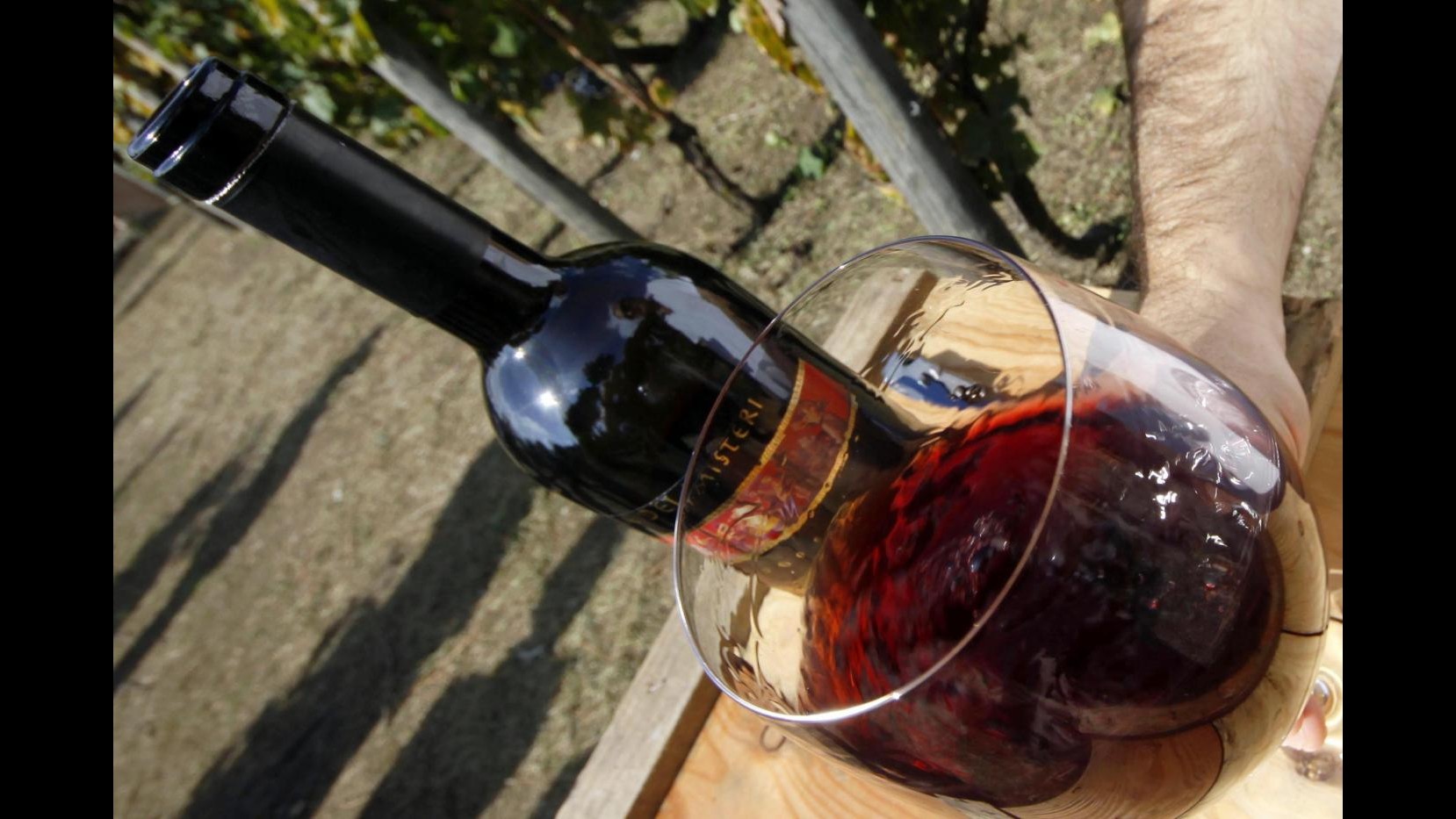 Reggio Emilia: maxifrode, azienda vinicola nei guai