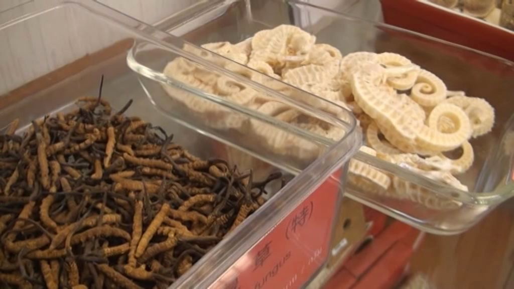 Thailandia, cavallucci marini e funghi per curare disfunzione erettile