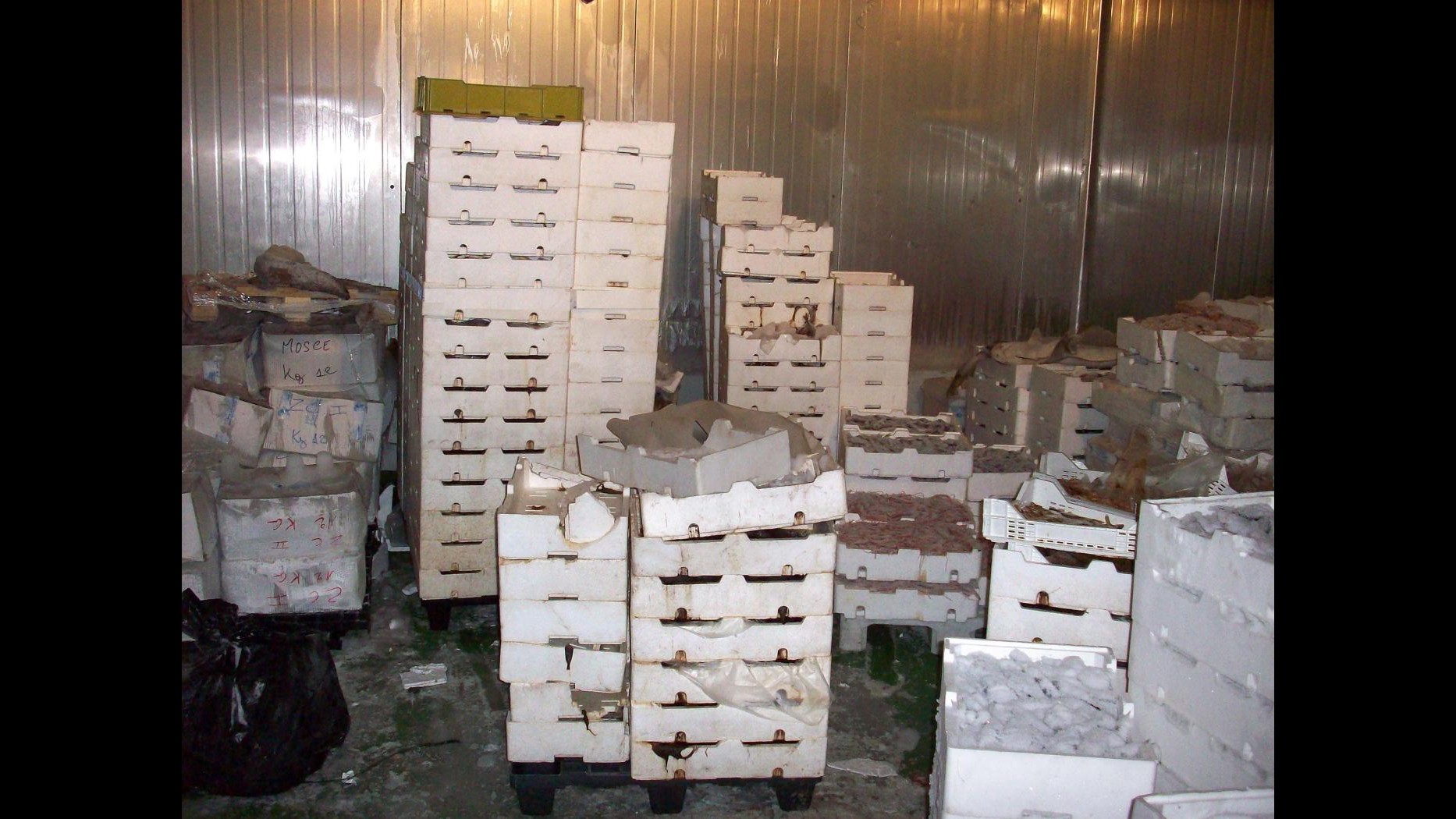 Controlli Nas in tutta Italia, sequestrate 540 tonnellate di cibi