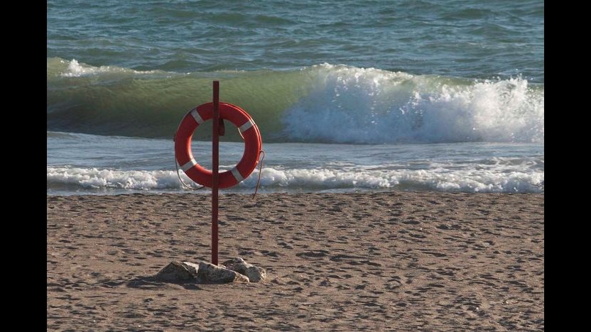 Lo squalo mangia plancton: dopo il panico si torna in spiaggia a Ostia