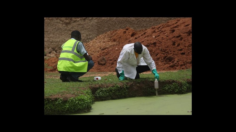 Nigeria, Msf: Al via cure per bimbi avvelenati da miniere oro in 2010