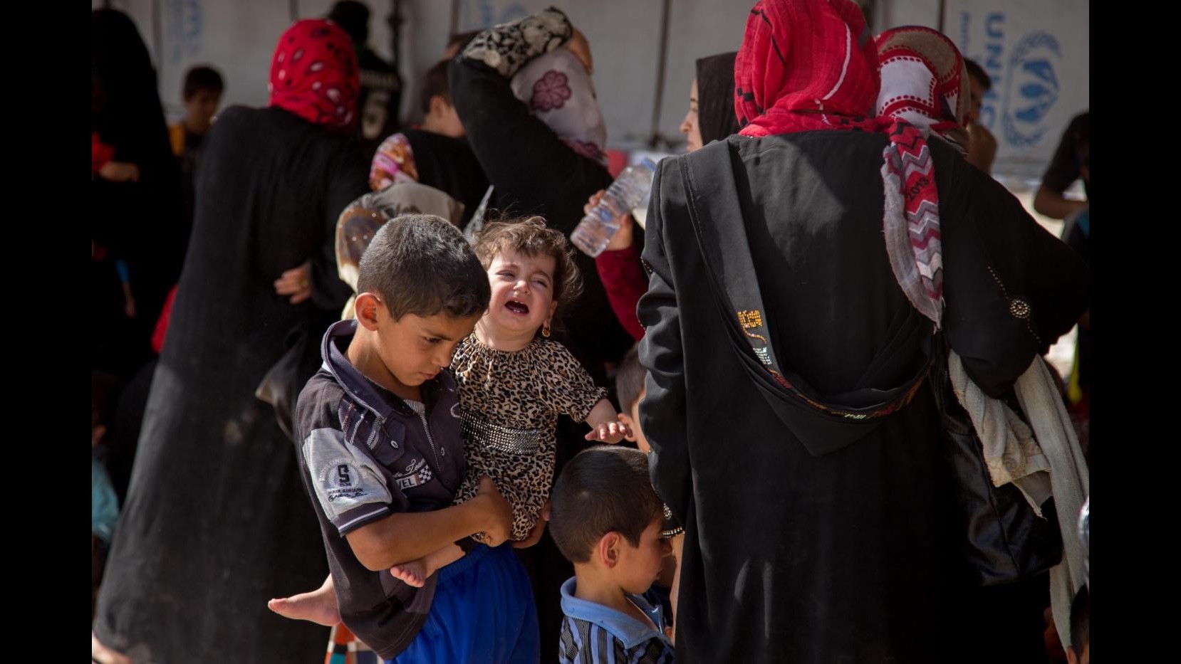 Iraq, Onu: Ad agosto 1.420 morti e 1.370 feriti in violenze