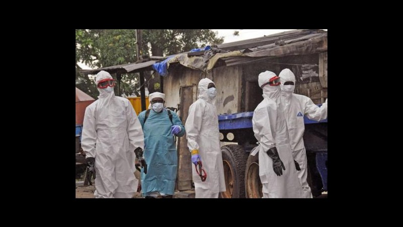 Ebola, Nature: Farmaco sperimentale ZMapp efficace 100% su scimmie