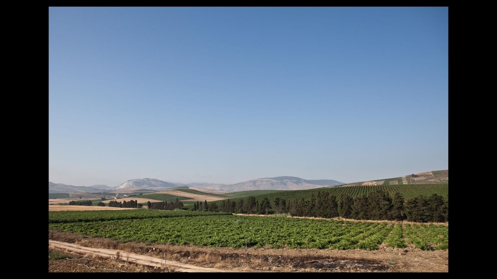 Agrigento, falsi agricoltori per avere disoccupazione: 133 denunciati