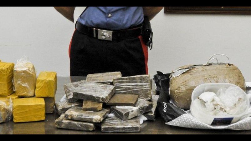 Reggio Calabria, scoperta dai carabinieri piantagione di canapa indiana