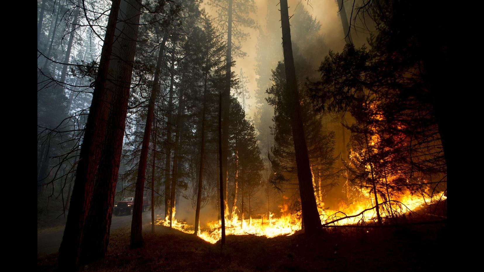 Usa, incendio in parco Yosemite: corsa per salvare sequoie giganti