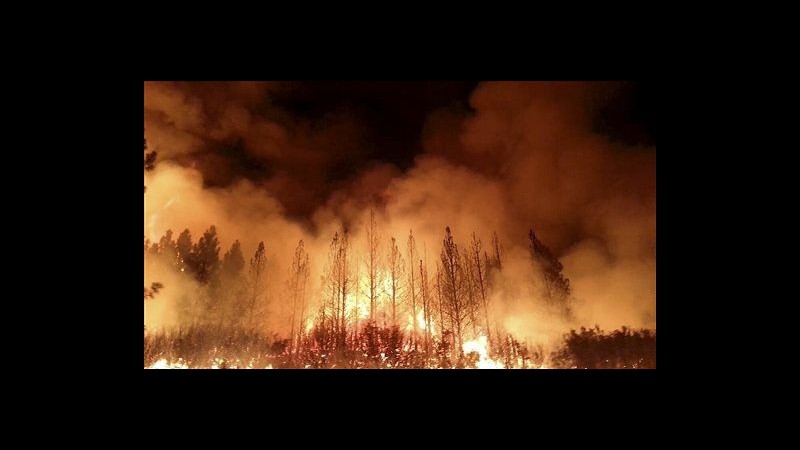 Usa, in fiamme il parco Yosemite, stato d’emergenza a San Francisco