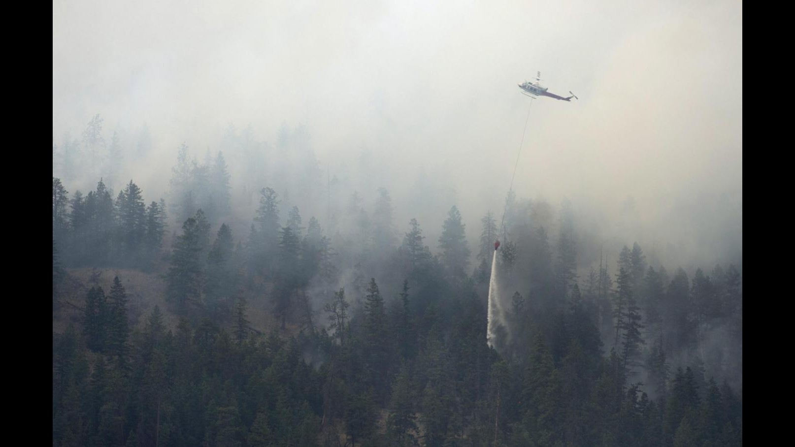 Usa, incendio nella foresta a Cleveland: evacuate 30 case FOTO VIDEO