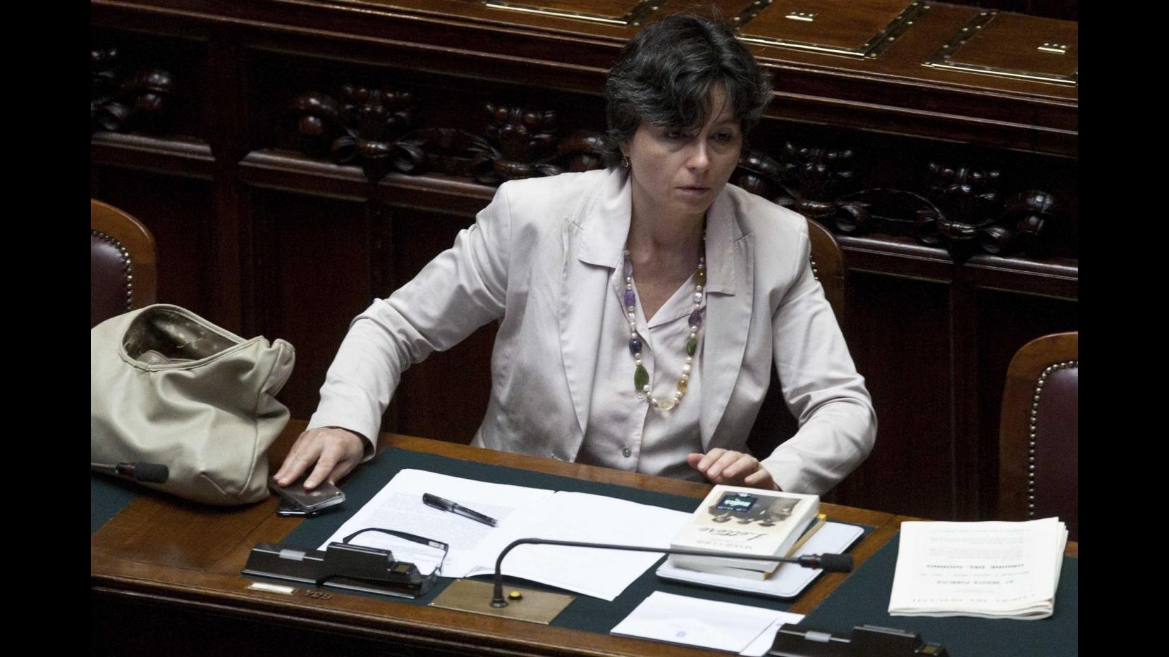 Carrozza: 2014 anno dei ricercatori e di empowerment, fondi a fine estate