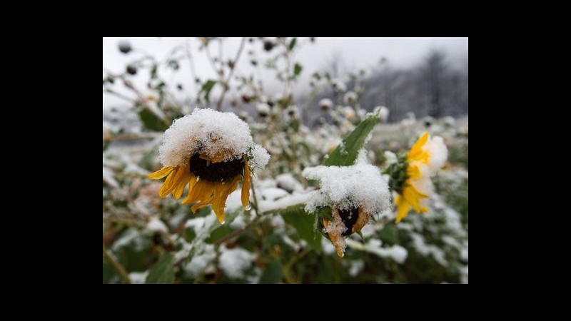 Usa, prime tempeste di neve in Wyoming, Montana e Colorado