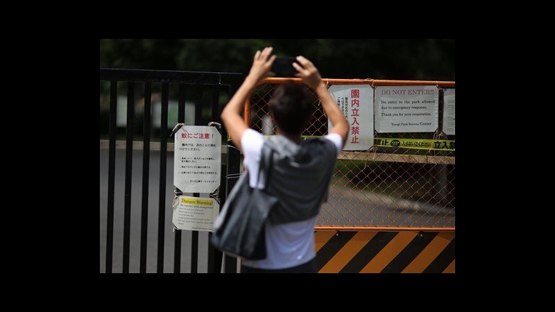 Giappone, 55 casi febbre dengue: chiuso temporaneamente parco Tokyo