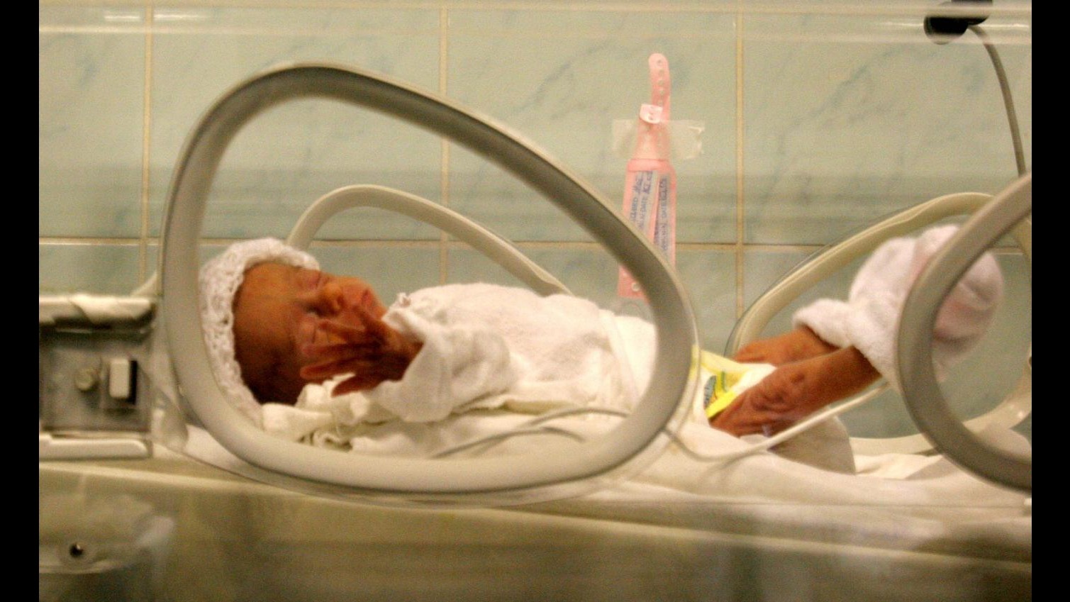 Fecondazione eterologa, a Firenze prime visite per le coppie. 23% delle donne over 45