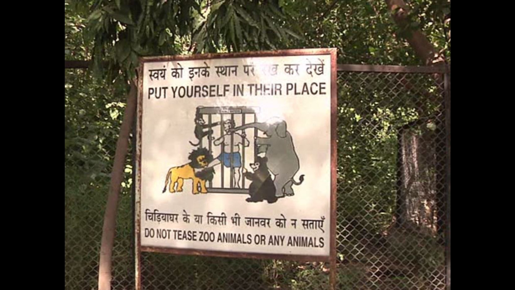 India, finisce nel recinto della tigre: muore un giovane allo zoo