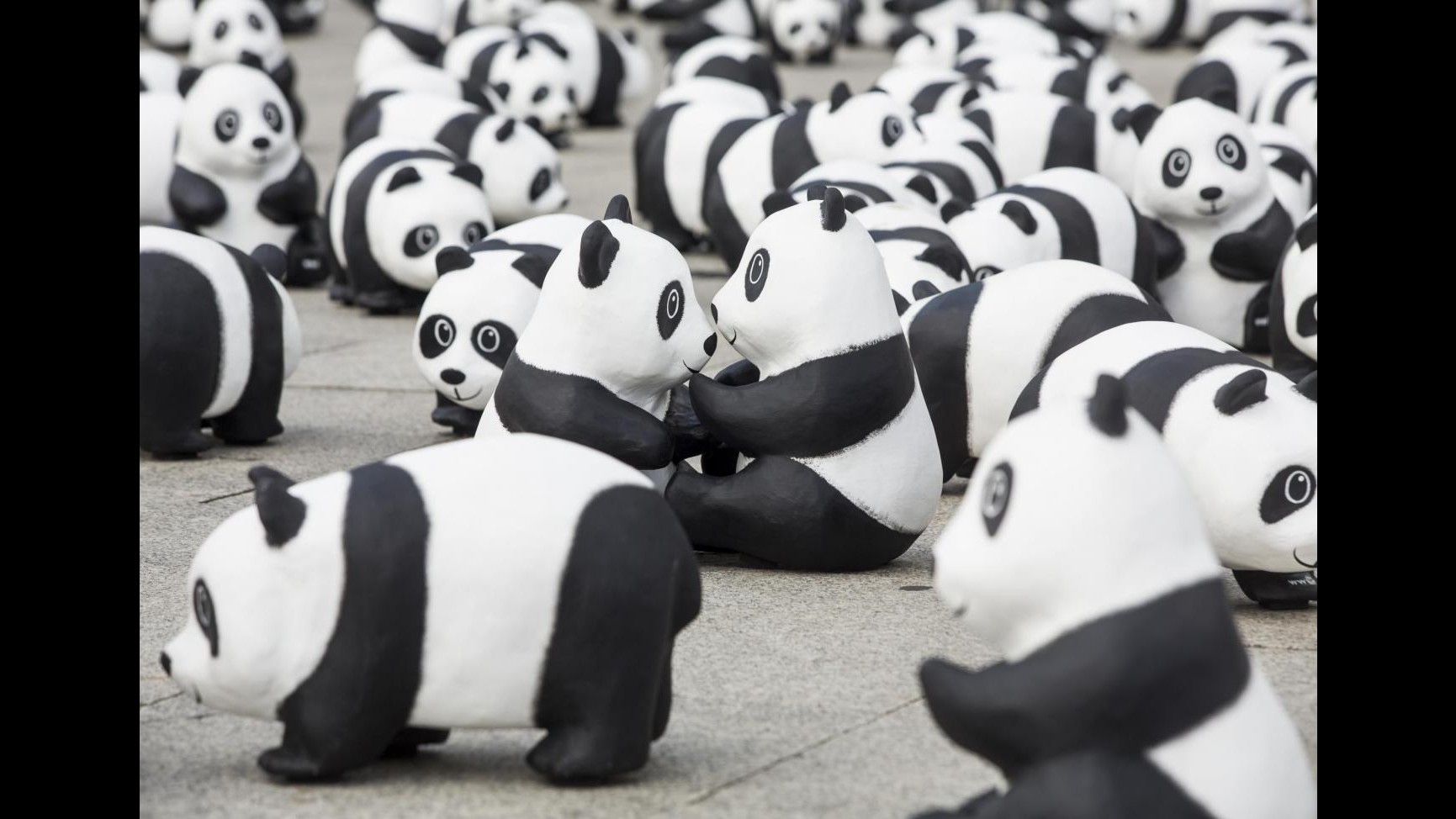 Ambiente, Wwf: L’Onu ora deve agire, servono segnali politici chiari
