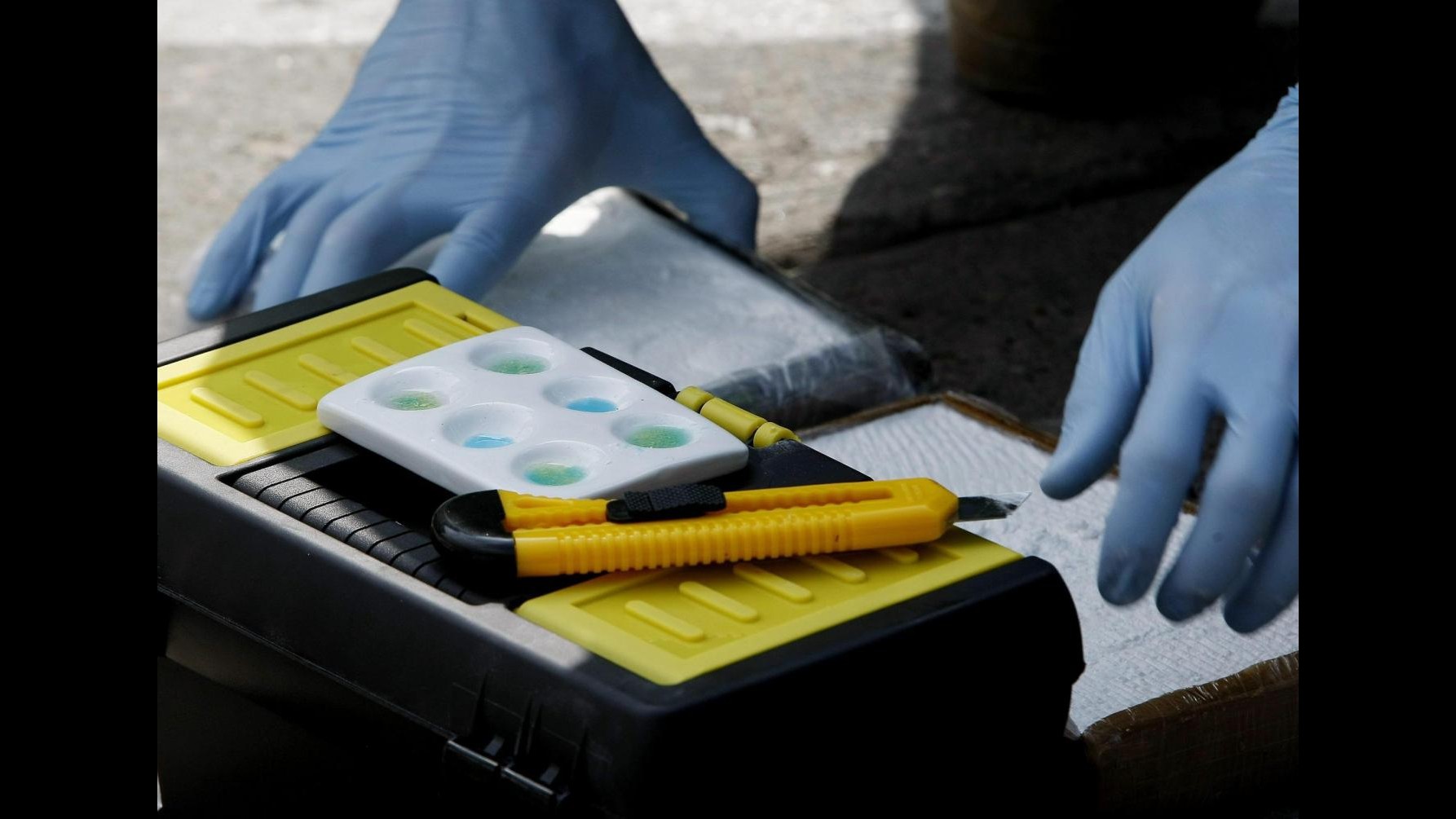 Traffico internazionale di cocaina: 7 arresti fra Calabria e Piemonte