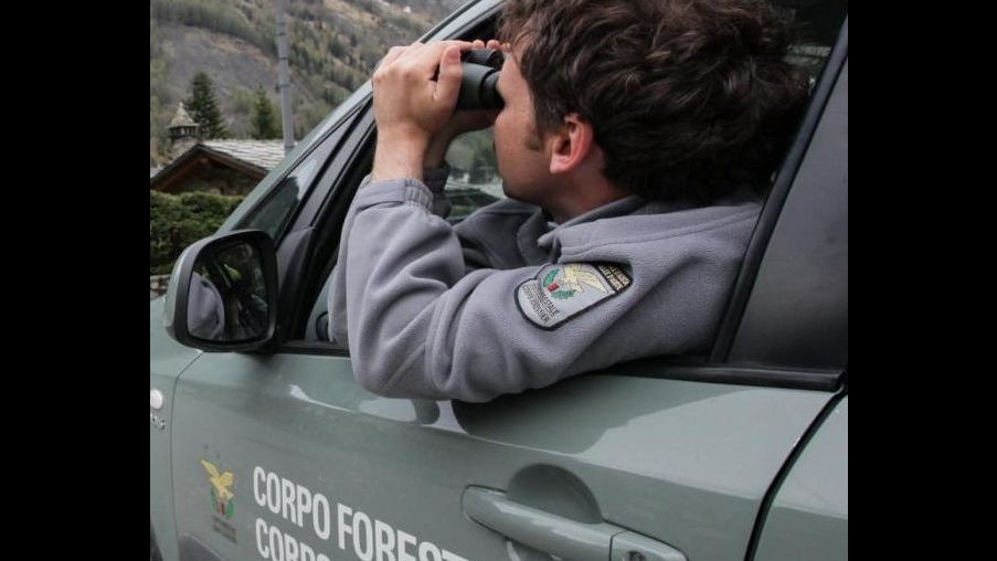 Brindisi, uccidevano lepri selvatiche abbagliandole con fari:4 denunce