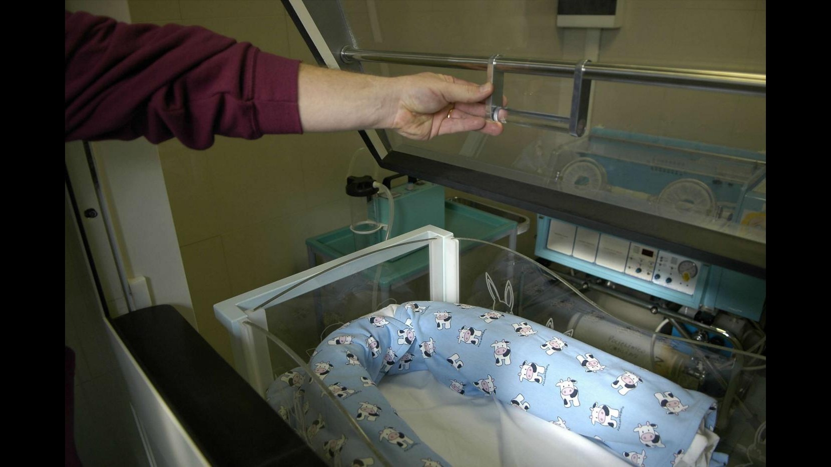 Eterologa, Viale (Radicali): Bisogna dire alle donne di non illudersi
