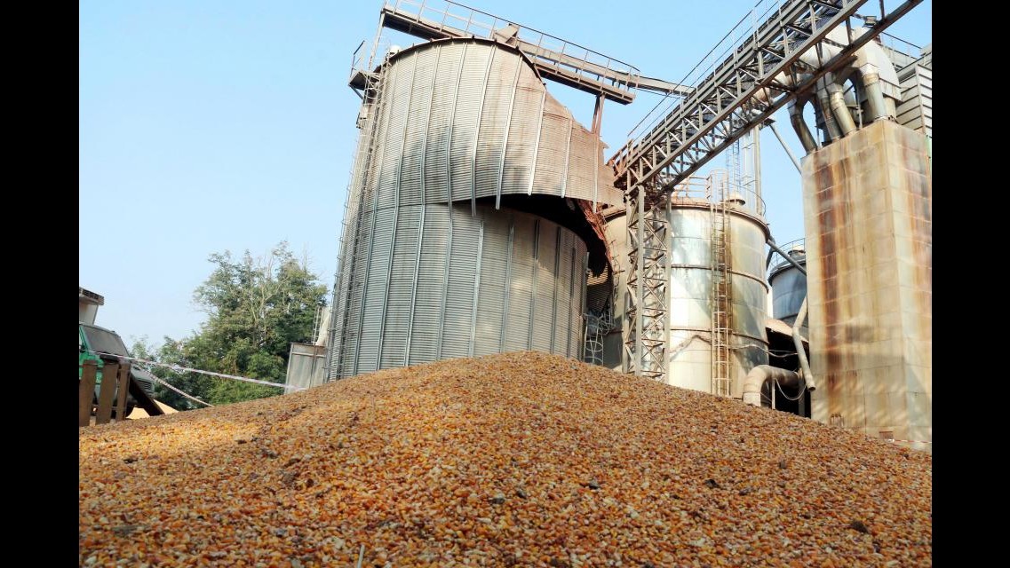 Cremona, crolla silos pieno di mais: due operai morti
