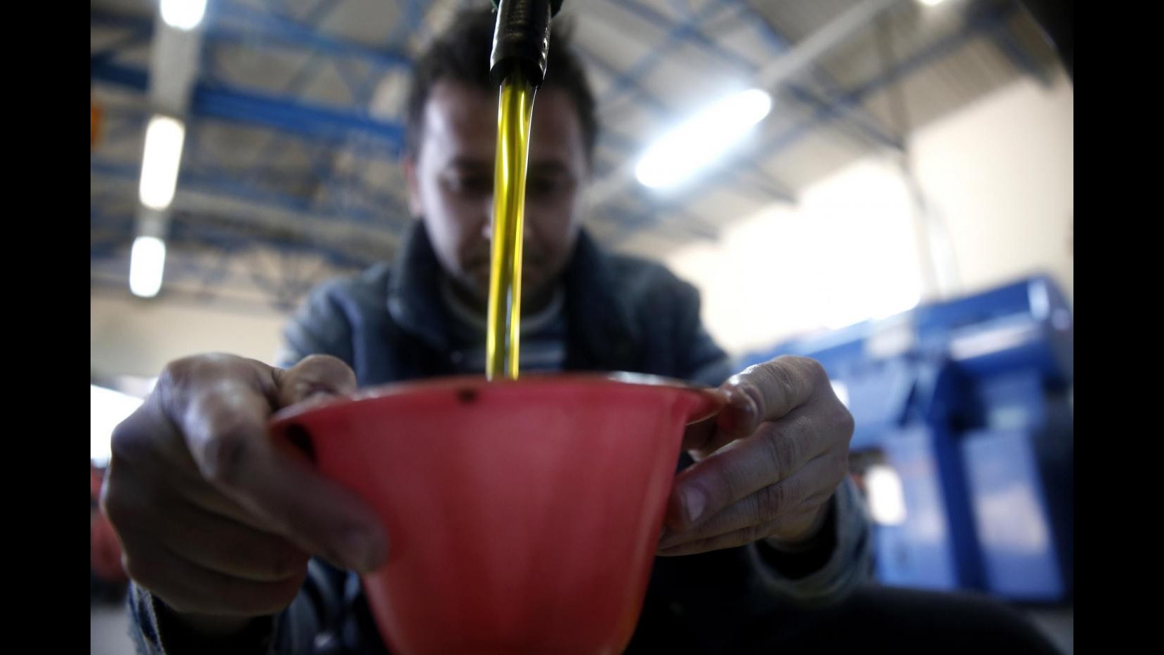 Coldiretti: -50% raccolto olio d’oliva in Liguria a causa del maltempo