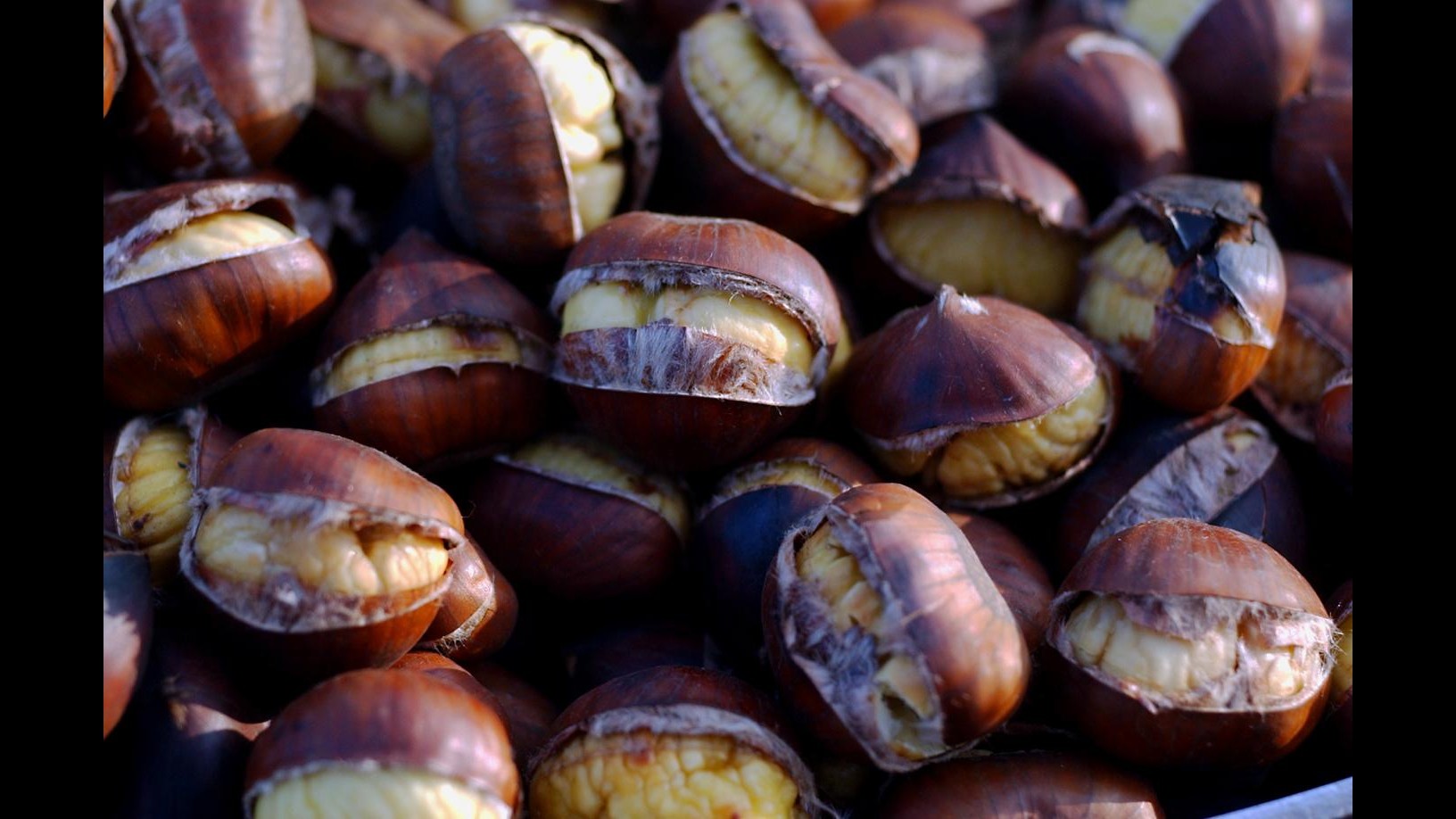 Coldiretti: Raccolto castagne crolla al minimo storico