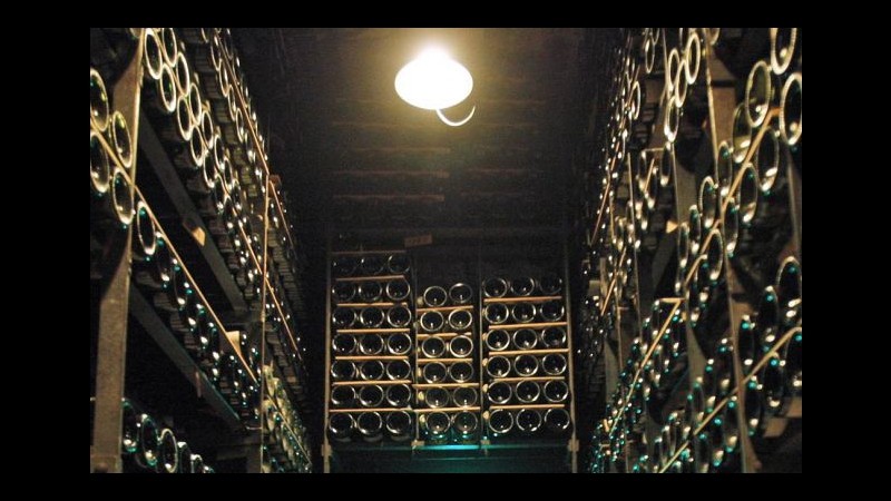Benevento, sequestrate 80mila bottiglie di vino contraffatto