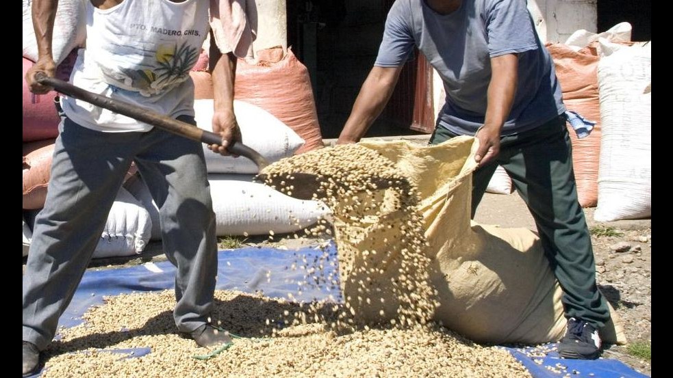 Scoperti 72 falsi braccianti agricoli a Crotone