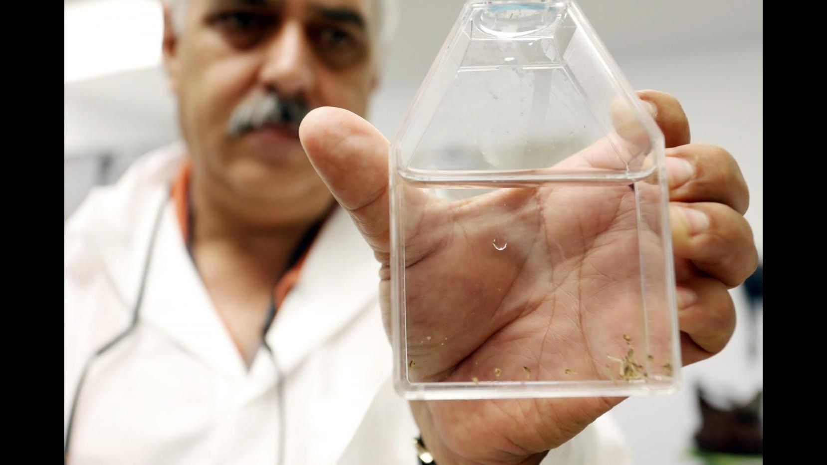 Brasile, efficace nuovo vaccino contro Dengue: riduce casi gravi del 95%