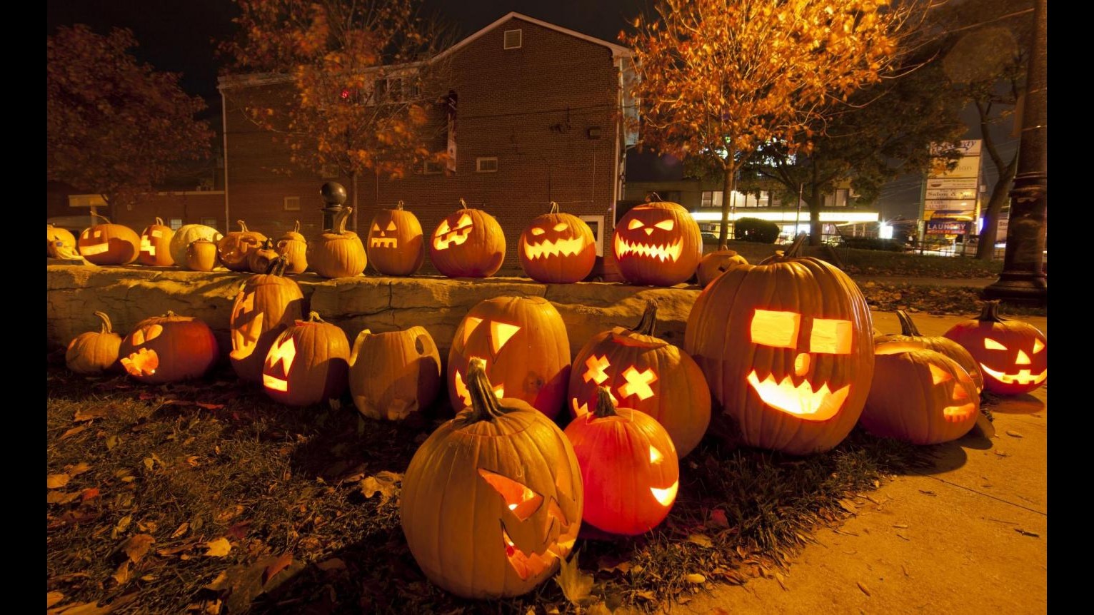 Al via la rassegna delle zucche di Halloween a Toronto